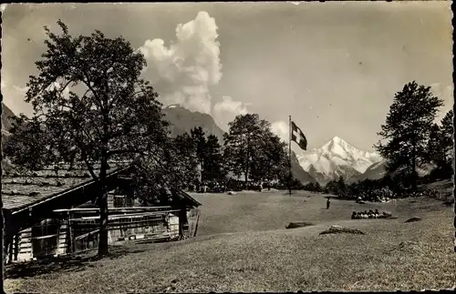 Ak Rütli Seelisberg Kanton Uri, Rütliwiese gegen den Bristenstock