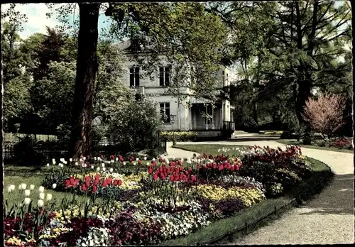 Ak Lahr im Schwarzwald Baden, Blumenbeet, Park