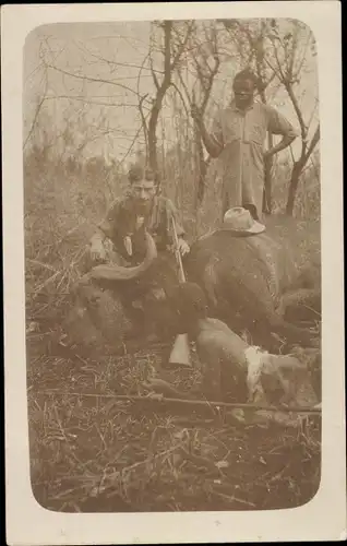 Foto Ak Afrika, Jäger mit erlegtem Büffel