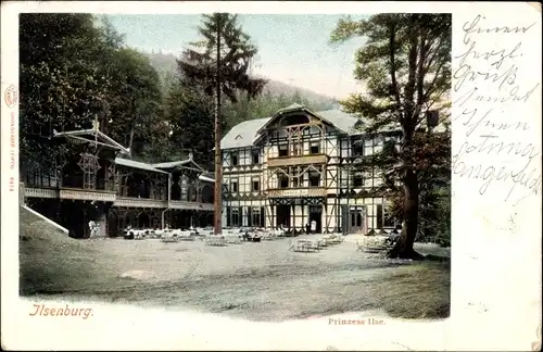 Ak Ilsenburg im Harz, Prinzess Ilse, Gasthaus