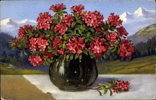 Ak Rote Blumen in einer Blumenvase, Gebirge