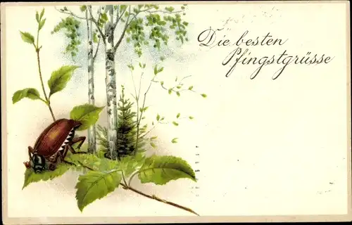 Ak Glückwunsch Pfingsten, Maikäfer, Birken