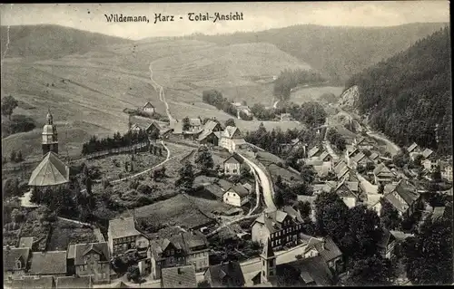 Ak Wildemann Clausthal Zellerfeld im Oberharz, Gesamtansicht