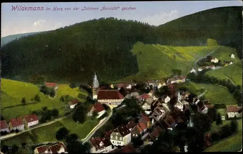 Ak Wildemann Clausthal Zellerfeld im Oberharz, von der Schönen Aussicht gesehen