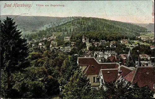 Ak Bad Harzburg im Harz, Villen am Papenberg