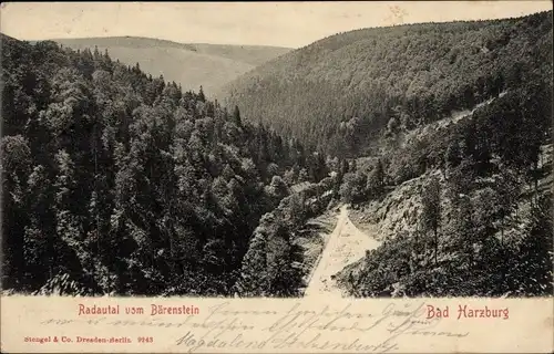 Ak Bad Harzburg am Harz, Radautal vom Bärenstein gesehen