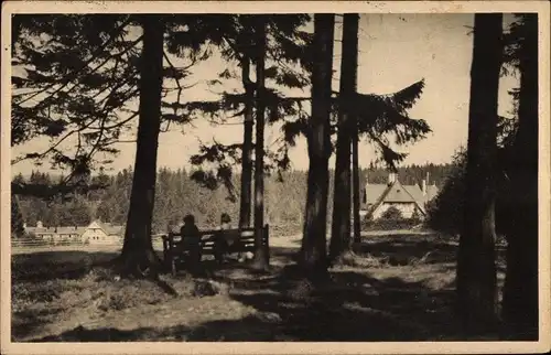 Ak Clausthal Zellerfeld im Oberharz, Johanneser-Kurhaus, Villa Julia