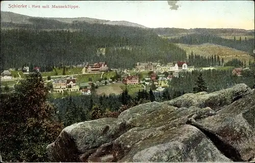 Ak Schierke Wernigerode im Harz, Teilansicht mit Mauseklippe