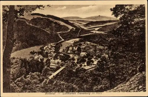 Ak Treseburg Thale im Harz, Panorama, Bodetal