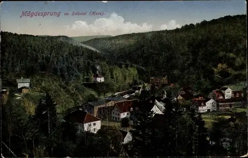 Ak Mägdesprung Harzgerode am Harz, Gesamtansicht