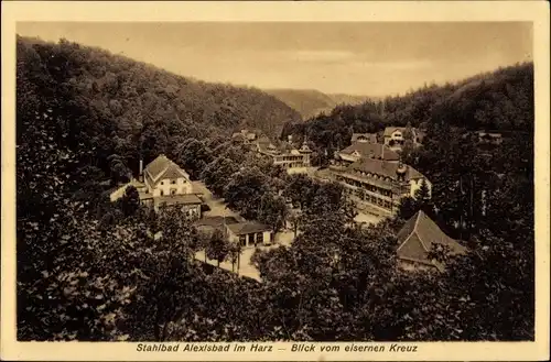 Ak Alexisbad Harzgerode am Harz, Blick vom eisernen Kreuz