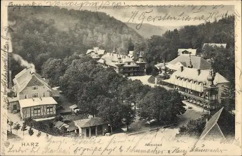 Ak Alexisbad Harzgerode im Harz, Teilansicht