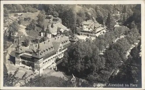 Ak Alexisbad Harzgerode am Harz, Stahlbad