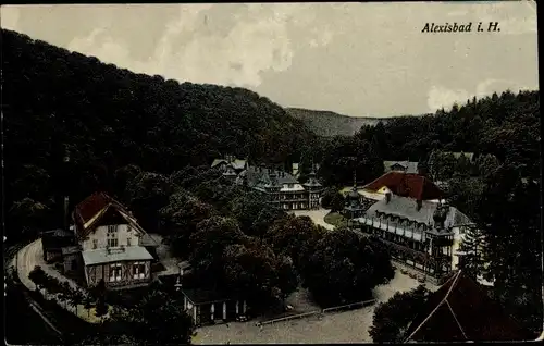 Ak Alexisbad Harzgerode im Harz, Teilansicht