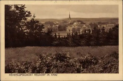 Ak Neudorf Harzgerode im Harz, Panorama, Kirche