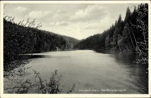 Ak Neudorf Harzgerode im Harz, Fürstenteich, Krauses Gästeheim