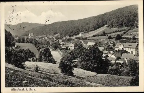 Ak Altenbrak Thale im Harz, Gesamtansicht