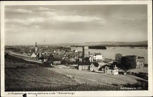 Ak Rüdesheim am Rhein, Panorama, Zu Rüdesheim am Schloss steht eine Linde, Brömserburg