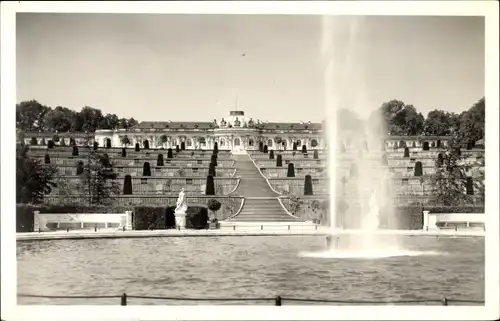 Ak Potsdam Sanssouci, Terrassen mit großer Fontäne