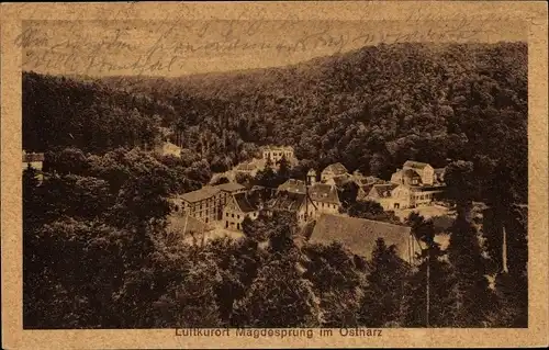 Ak Mägdesprung Harzgerode am Harz, Gesamtansicht, Wald