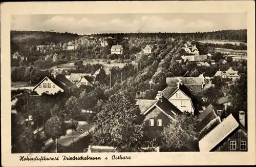 Ak Friedrichsbrunn Thale im Harz, Gesamtansicht