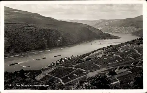 Ak Assmannshausen Rüdesheim am Rhein, Panorama