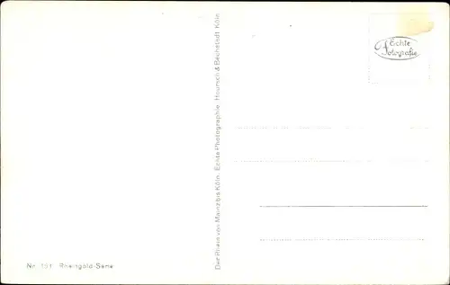 Ak Assmannshausen Rüdesheim am Rhein, Panorama