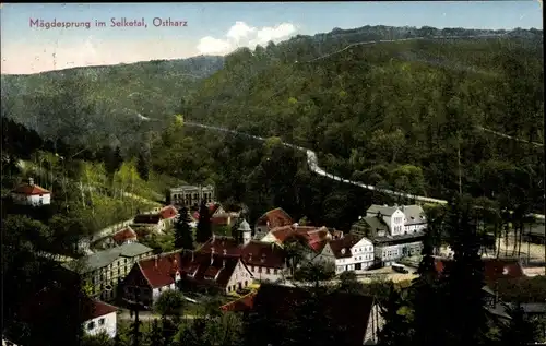 Ak Mägdesprung Harzgerode am Harz, Ortsansicht