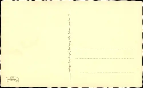 Ak Freiburg im Breisgau, Münster