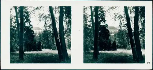 Stereo Foto Praha Prag, Holešovice Holleschowitz, Baumgarten