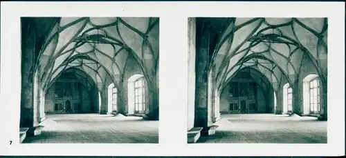 Stereo Foto Praha Prag, Burgstadt, Burg, Wladislawscher Saal