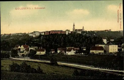 Ak Złotoryja Goldberg Schlesien, Panorama
