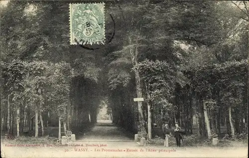 Ak Wassy Haute Marne, les Promenadres, Entree de l'Allee principale