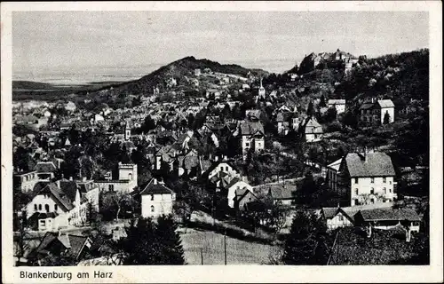 Ak Blankenburg am Harz, Gesamtansicht