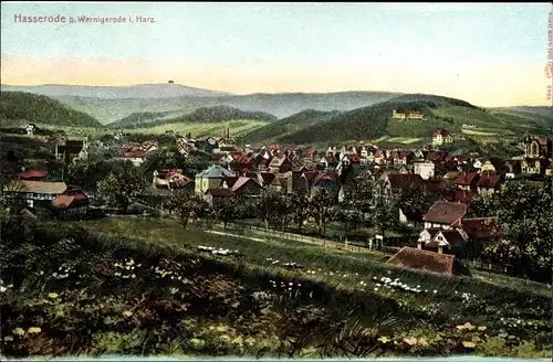 Ak Hasserode Wernigerode im Harz, Gesamtansicht
