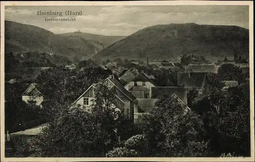 Ak Ilsenburg im Harz, Gesamtansicht