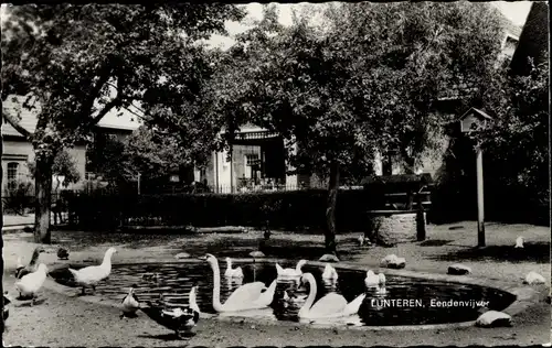 Ak Lunteren Ede Gelderland, Ententeich