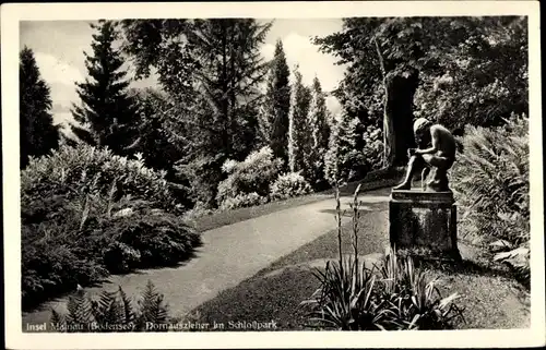 Ak Insel Mainau im Bodensee, Dornauszieher im Schlosspark