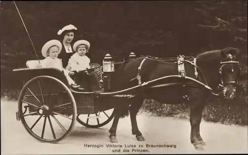 Ak Prinzessin Victoria Luise von Preußen, Herzogin von Braunschweig mit Söhnen, Kutsche