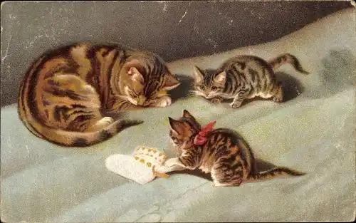 Ak Katzenmutter und zwei verspielte Katzenbabys