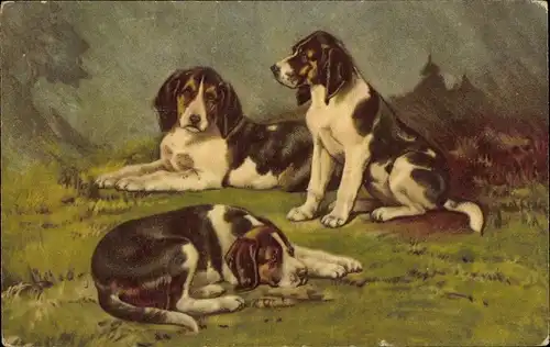 Künstler Ak Maguire, H., Rassehunde II, Jagdhunde