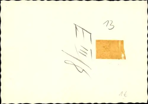 Foto Bulldogge, Tier-Portrait, Leine