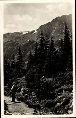 Ak Riesengebirge, Partie auf dem Wege zum kleinen Teich