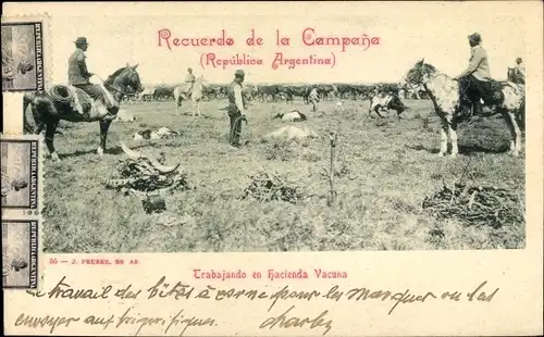 Ak Campana Argentinien, arbeitet in der Hacienda Vacuna