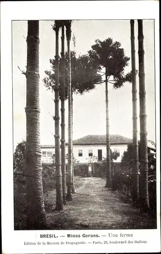 Ak Minas Gerais Brasilien, Farm