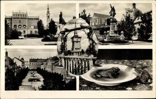 Ak Miskolc Miskolcz Mischkolz Ungarn, Denkmal, Frösche, Turm