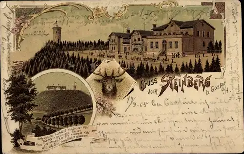 Litho Steinberg Goslar am Harz, Gasthaus, Aussichtsturm