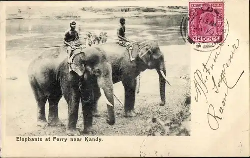 Ak Kandy Sri Lanka Ceylon, Reiter auf Elefanten