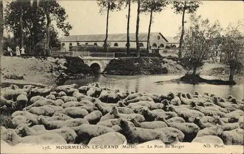 Ak Mourmelon le Grand Marne, Le Pont du Berger, Schafherde