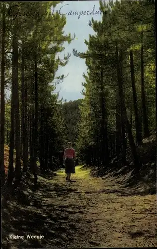 Ak Camperduin Alkmaar Nordholland Niederlande, Waldpartie
